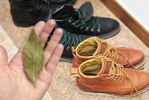 Siksi kenkään laitetut laakerinlehdet voivat muuttaa päivittäisen elämäsi täysin