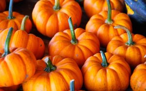 Älä koskaan keitä syksyn kurpitsaa, se maistuu paremmalta, jos sen vain valmistaa.