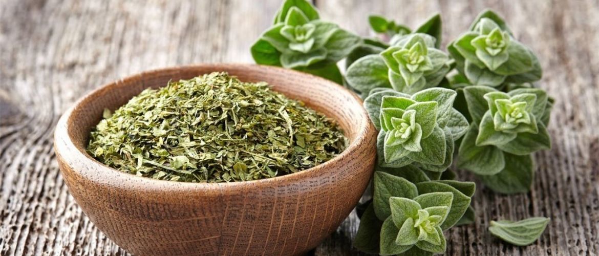 Mikä on oreganon lisäämisen tarkoitus keittiön putkiin ja miksi sitä suositellaan?