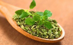 Mikä on oreganon lisäämisen tarkoitus keittiön putkiin ja miksi sitä suositellaan?