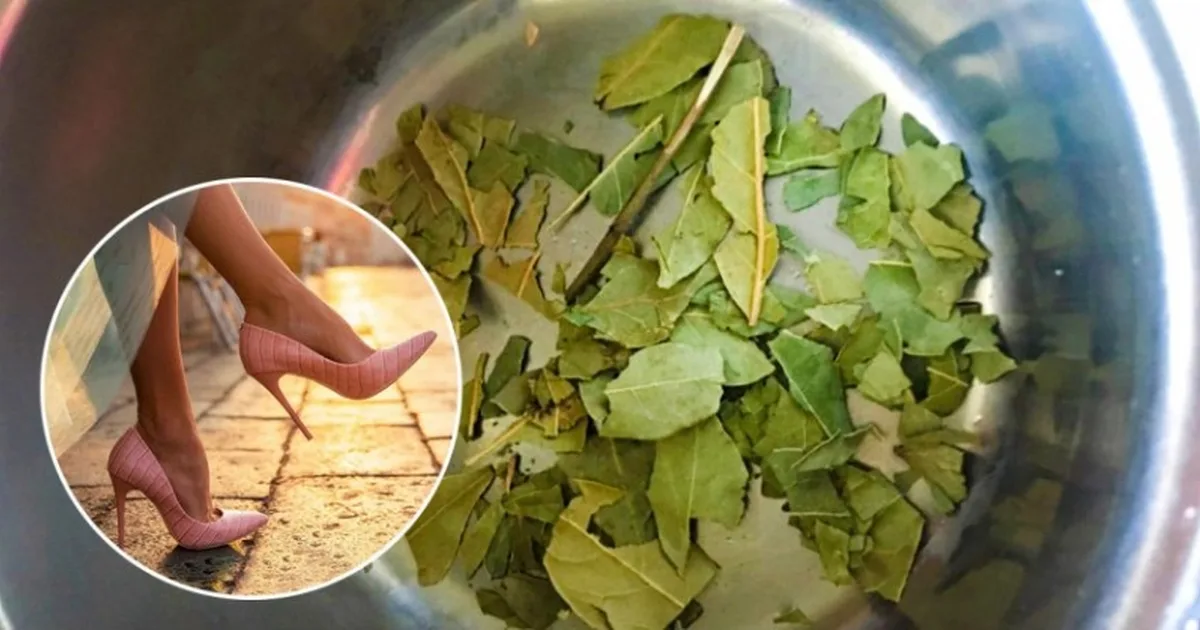 Siksi kenkään laitetut laakerinlehdet voivat muuttaa päivittäisen elämäsi täysin