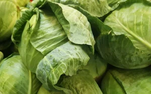 Miksi kannattaa lisätä omenaviinietikkaa kaaliin seuraavan kerran, kun valmistat sitä: asiantuntijan neuvo