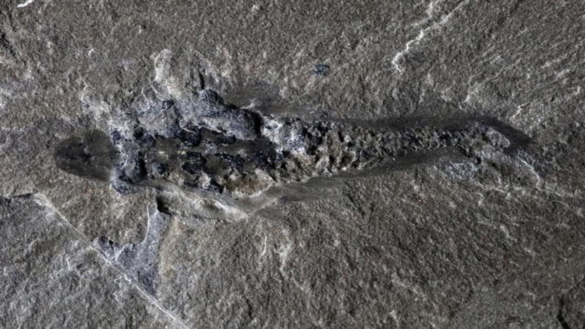 He Analysoivat Grönlannin Kallioperää Ja Löytävät 4500 Miljoonaa Vuotta Vanhoja Proto-Maan Jäänteitä.