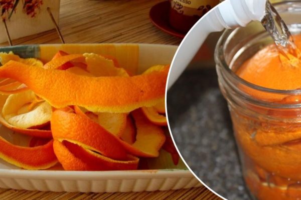 Oranssinkuorien